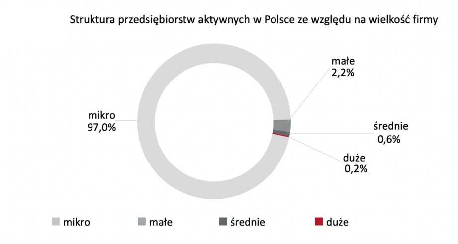 wykres-finansowanie-mikroprzedsiebiorca.png