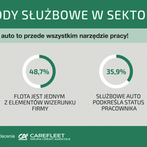 rola-samochodów-firmowych-w-sektorze-mśp---infografika-9252b.png